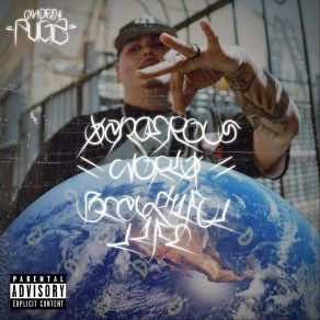 Dangerous World, Beautiful Life album cover