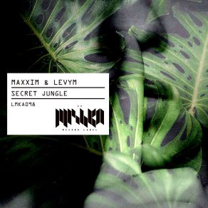 Secret Jungle album cover