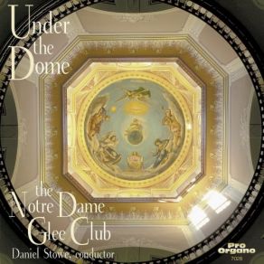 Under The Dome album cover