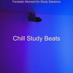 Fantastic Moment For Study Sessions album cover