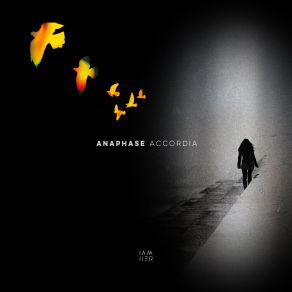 Accordia album cover