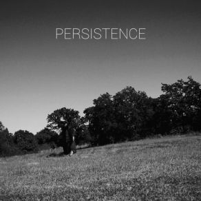 Persistence album cover