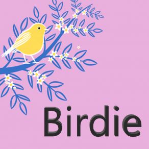 Birds album cover