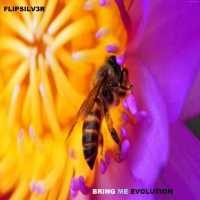 Bring Me Evolution album cover