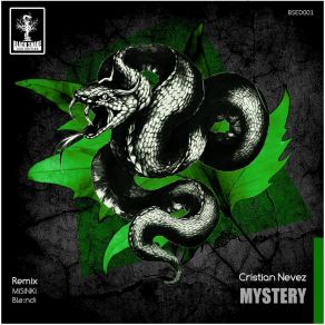 Mystery album cover