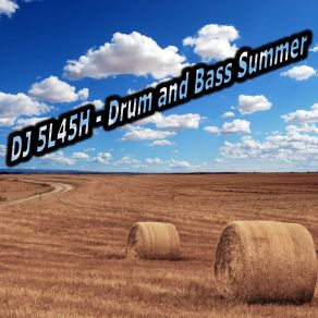 Drum & Bass Summer album cover