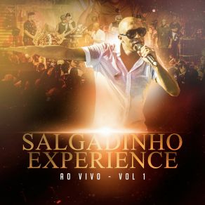 Salgadinho Experience Ao Vivo - Vol 1 album cover
