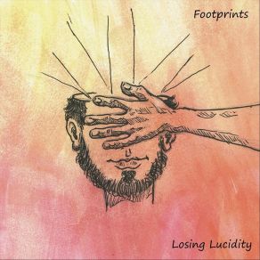 Losing Lucidity album cover