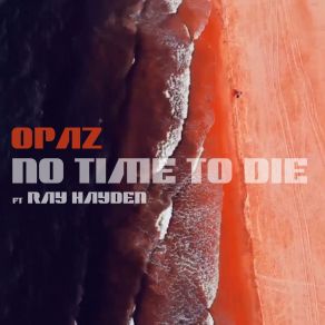 No Time To Die album cover