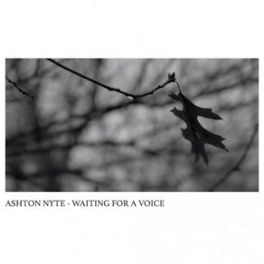 Waiting For A Voice album cover