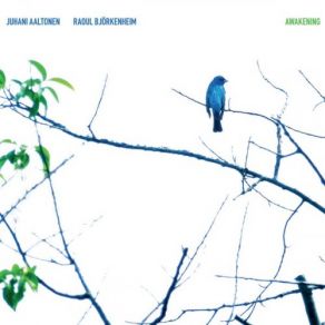 Awakening album cover