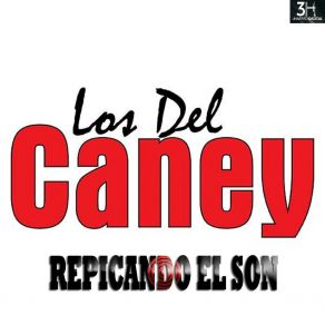 Repicando El Son album cover