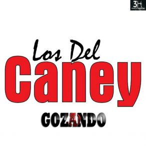 Gozando album cover