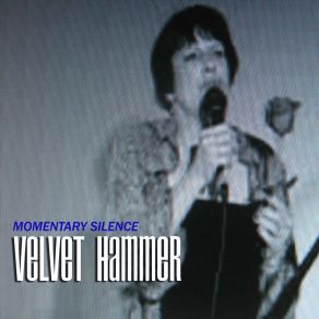 Momentary Silence album cover