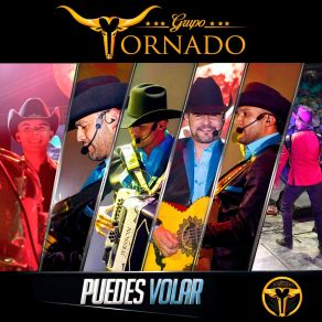 Puedes Volar album cover