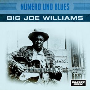 Numero Uno Blues album cover