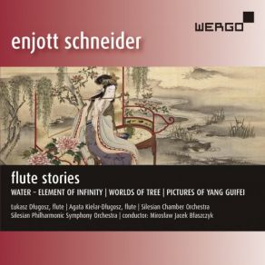 Enjott Schneider: Flute Stories album cover