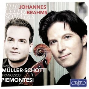 Brahms: Sonatas Opp. 38, 78 & 99 album cover