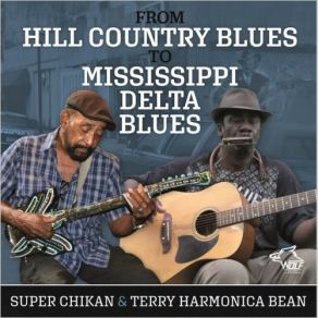 From Hill Country To Mississippi Delta Blues album cover