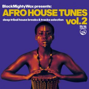 Afro House Tunes Vol. 2 album cover