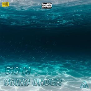 Going Under album cover