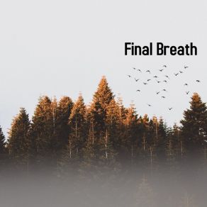 Final Breath album cover