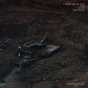 A Memory Like Any Other album cover