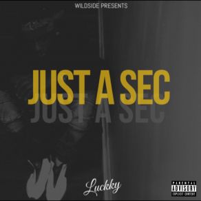 Just A Sec album cover