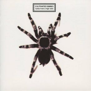 Tunes From A High Wire album cover
