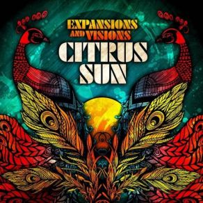 Expansions And Visions album cover