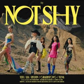Not Shy album cover