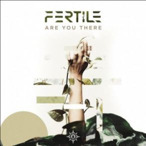 Are You There (Maxi-Single) album cover