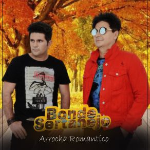 Arrocha Romantico album cover