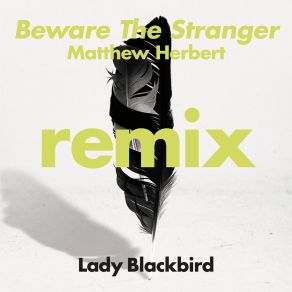 Beware The Stranger (Matthew Herbert Remix) album cover