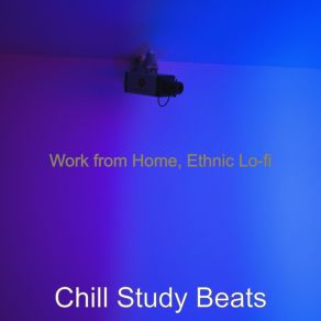 Work From Home, Ethnic Lo-Fi album cover