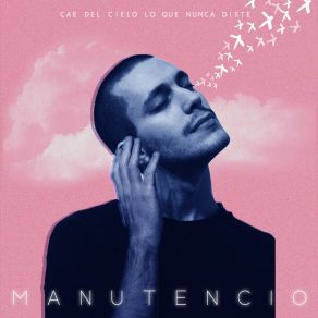 CAE DEL CIELO LO QUE NUNCA DISTE album cover