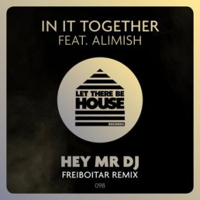 Hey Mr DJ (Freiboitar Remix) (Maxi-Single) album cover