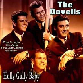 Hully Gully Baby album cover