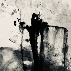 Tripado / Lunatico album cover