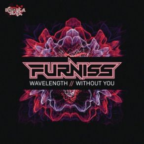 Wavelength / Without You (Maxi-Single) album cover