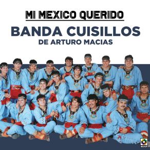 Mi Mexico Querido album cover