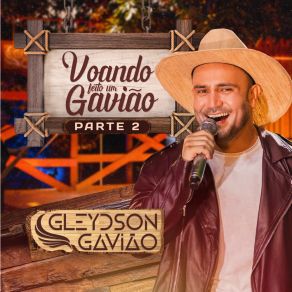 Voando Feito Um Gavião - Parte 02 album cover