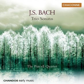 Bach - Trio Sonatas - The Purcell Quartet album cover