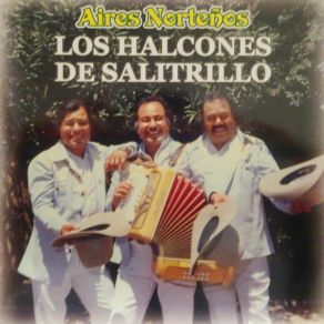 Aires Norteños album cover