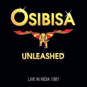 Unleashed (Live In India) album cover