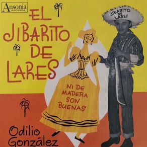 Ni De Madera Son Buenas album cover