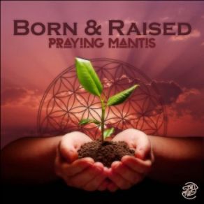Born & Raised (Single) album cover