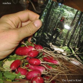 The Land Is Kind album cover