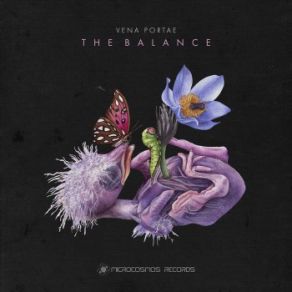 The Balance album cover