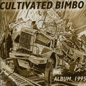 Album 1995 album cover